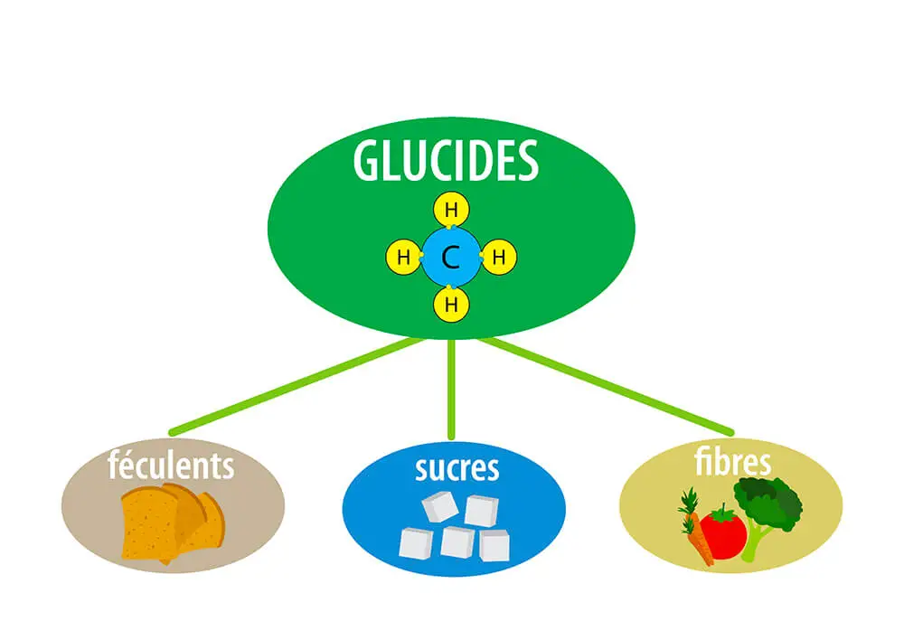 les glucides - aliments pauvres en glucides