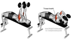  Dumbbell Tricep Extension