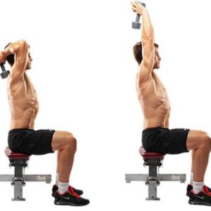 meilleurs exercices Biceps / Triceps