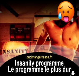 programme insanity