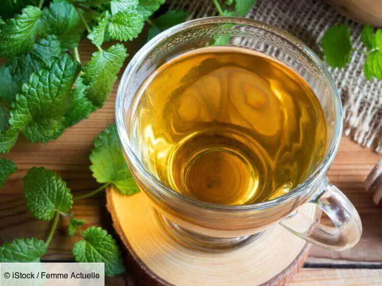 Citronnelle Et Grossesse Quoi Manger Ce Soir