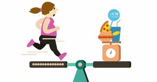 Comment Manger 2500 Calories Par Jour - Menu Type à 2500 Kcal - Quoi
