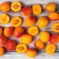 Abricot, un kit aux propriétés nutritives contre la chaleur