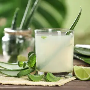 Aloe vera : propriétés, bienfaits et conseils d'utilisation du gel et du jus
