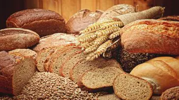 10 от най-здравословните видове хляб – Нутрима