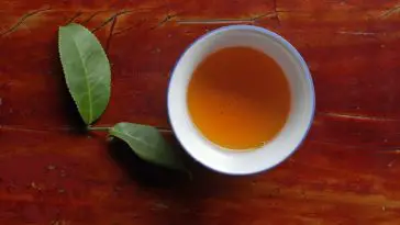5 des thés les plus efficaces pour maigrir - Nutrima