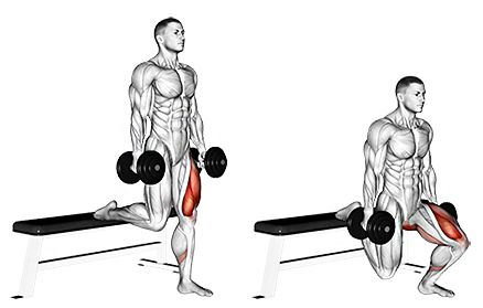 Les 7 meilleurs exercices pour renforcer, modeler et développer les muscles de l'avant des cuisses