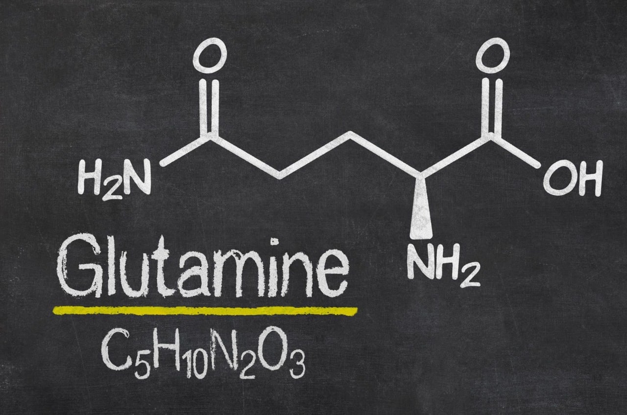 Glutamine - Peut-elle vous aider à perdre du poids ?  –