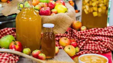 Quels sont les avantages pour la santé de prendre du vinaigre de cidre de pomme?  –N