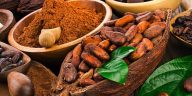Quels sont les bienfaits pour la santé de la consommation de cacao ?  -Nutrim