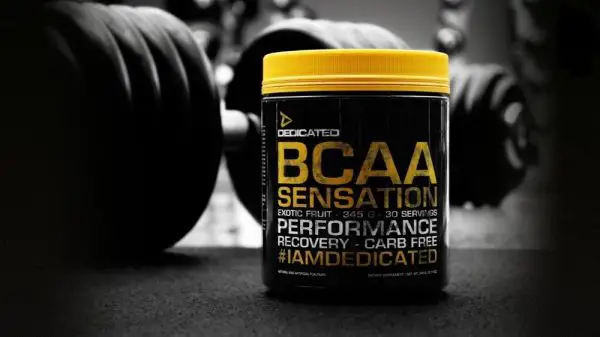 BCAA pour les bodybuilders ▷ BCAA en musculation