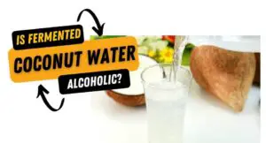 Is Fermented Coconut Water Alcoholic?