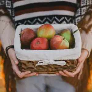 7 nejlepších podzimních plodů: čím prospívají zdraví a jak je zpracovat