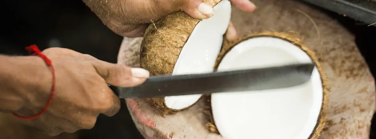 comment ouvrir une noix de coco