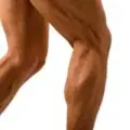 Cómo ganar músculo en las piernas