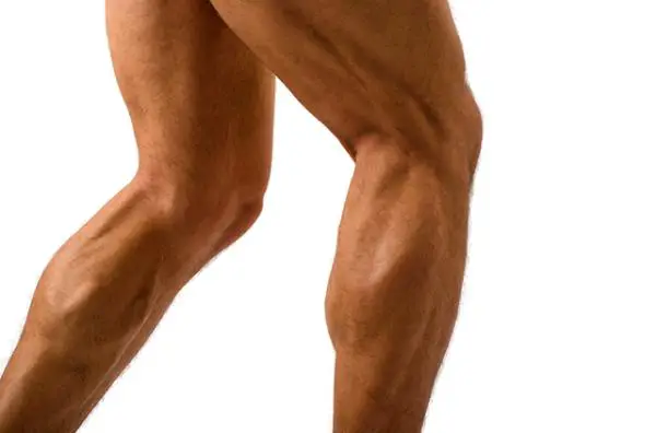 Cómo ganar músculo en las piernas