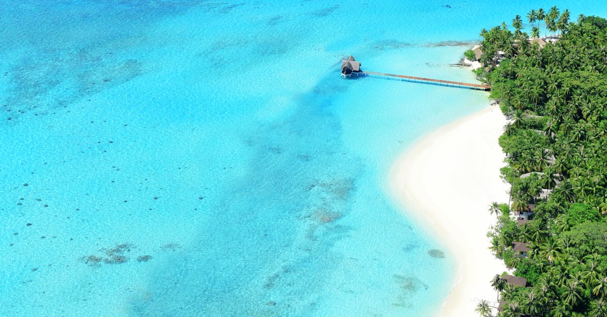 découvrez le blue lagoon, un site naturel fascinant aux eaux bleu turquoise, parfait pour la détente et la baignade. explorez ce lieu emblématique, idéal pour une escapade relaxante et des souvenirs inoubliables.