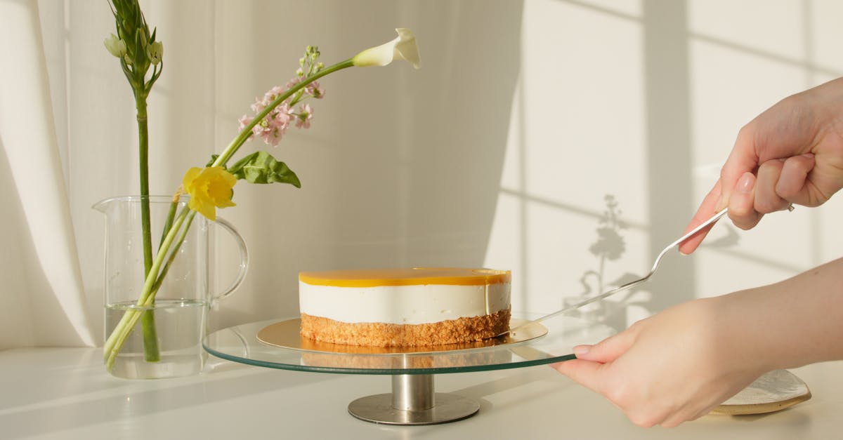 découvrez tout ce qu'il faut savoir sur le cannabis cake : recette facile, effets, précautions et conseils pour une dégustation responsable en france.