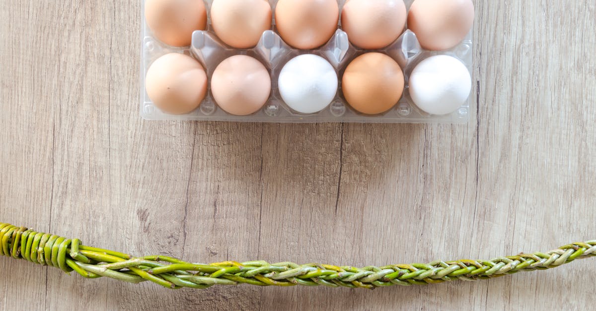 découvrez tout sur les œufs : bienfaits nutritionnels, astuces de conservation, recettes faciles et conseils pour bien les choisir au quotidien.