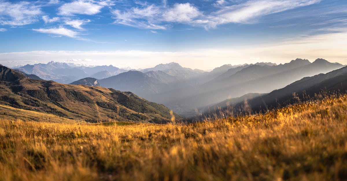 découvrez notre recette classique de madeleines, ces délicieux petits gâteaux moelleux à la texture légère et au bon goût de beurre. faciles à préparer, parfaits pour accompagner votre thé ou café.