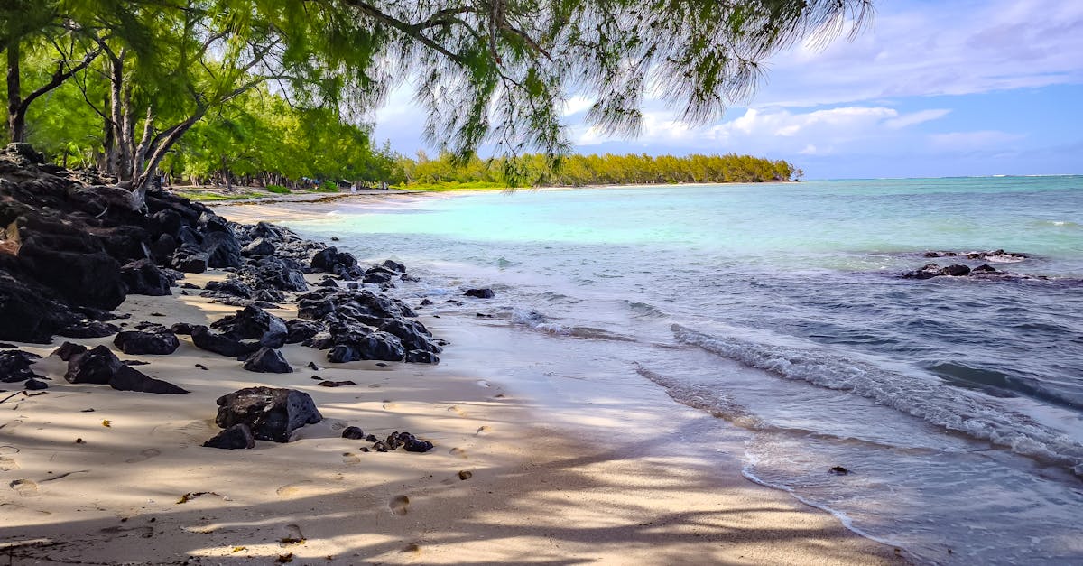 découvrez l'île maurice, une destination paradisiaque connue pour ses plages de rêve, ses eaux turquoise et sa riche culture. partez à la découverte de ses sites incontournables, de sa gastronomie savoureuse et de ses activités nautiques incontournables.
