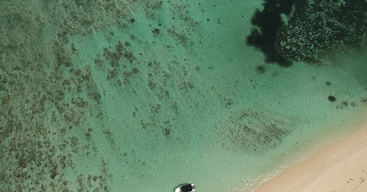 découvrez l’île maurice, joyau de l’océan indien : plages paradisiaques, culture vibrante, activités nautiques et richesse naturelle à explorer lors de votre prochain voyage.