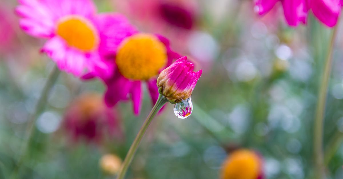 découvrez pyrgos, un charmant village grec réputé pour ses maisons blanchies à la chaux, ses ruelles pittoresques et ses vues panoramiques imprenables. explorez son patrimoine historique et son atmosphère authentique.