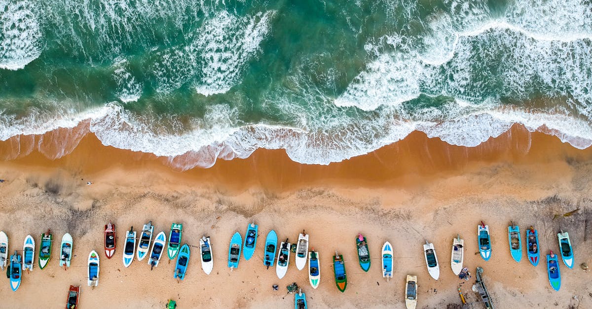 découvrez les meilleures destinations touristiques, conseils de voyage et astuces pour un séjour inoubliable. explorez le monde, vivez des expériences uniques et préparez votre prochain voyage grâce à nos guides complets sur le tourisme.